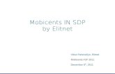 ElitNet presentation - Mobicents Summit 2011