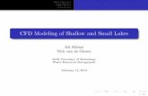 CFD Modeling of Shallow and Small Lakes