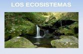 Los ecosistemas. Antonio Jesús Mohedano