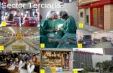 Sector terciario en España