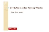 Bitsaa in eBay Giving Works