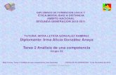 Análisis de una competencia Irma González