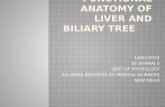 Functional anatomy of liver and biliary tree