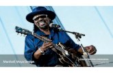 Chuck Brown - Concept Design Options Meeting