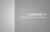 Chapter 5 chemical changes