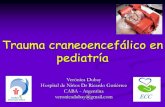 Trauma craneoencefalico pediatrico  2009