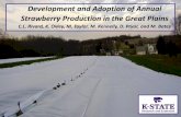Devevelopment and Adoption of Annual Strawberry Production in the Great Plains