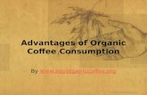 Advantages of Organic Coffee Consumption