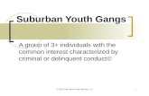 Suburban Youth Gangs