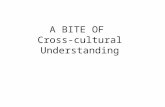 What ccu is, ? cross culture understanding