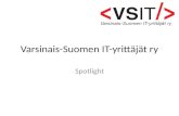 Varsinais-Suomen IT-yrittäjät ry