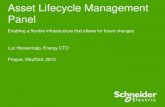 Asset Lifecycle Management: flexible infrastructures enabling future change