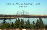 Life in Dene & Ojibway First Nations By Daylan Hyslop Dimitria Roulette