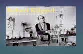 11VA Theory - Robert Klippel