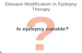 Disease modification in epilepsy therapy