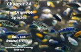 BIOL 102 General Biology II - Chp 24: The Origin of Species