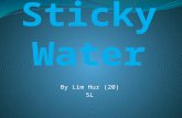 Sticky water