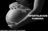 Infertilidade humana