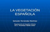 Geografia fisica la_vegetacion_espanyola