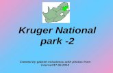 Kruger national park 2