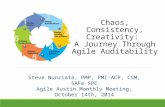 Chaos, Consistency, Creativity - A Journey Through Agile Auditability