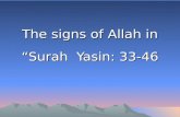 Signs Of Allah In Surah Yaseen