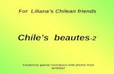 Chile's beautes 2