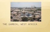 The gambia