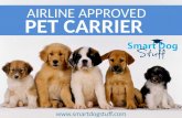 Airport approved pet carriers