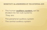 His 125 auditory sensitivity and landmarks of the external ear