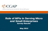 Financing Small Enterprises: What Role for Microfinance Institutions?