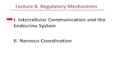 Lecture 8 regulatory mechanisms part 1