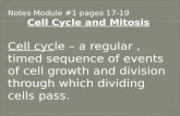 A and P Mod.# 1 Mitosis