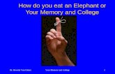 Memory  Chunking An Elephant