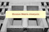 Boston matrix analysis