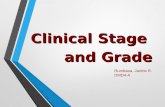Oral Cancer Stage and Grade