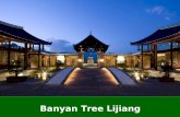 Banyan tree lijiang   presentation