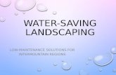 Water Saving Landscaping