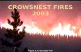 Crowsnest Fires 2003