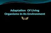 Powerpoint presentation-Adaptation Of Living Organisms In Its Environment