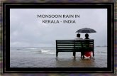 Monsoon rain in kerala india