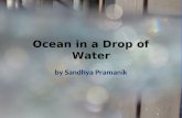 Ocean In A Drop Of Water