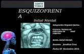 Presentación Prevencion.promocion de la esquizofrenia