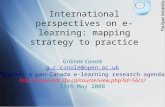 International Perspectives on E-learning
