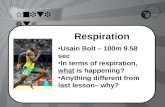 Anaerobic Respiration System SOLO
