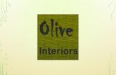 Olive interiors Interior Designing and Architectural services