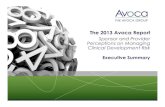 The 2013 Avoca Report
