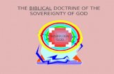 Sovereign god