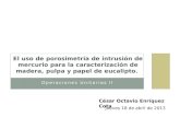 27)enríquez cota césar octavio_2013-1