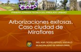 Casos exitosos de arborización en Lima - Miraflores
